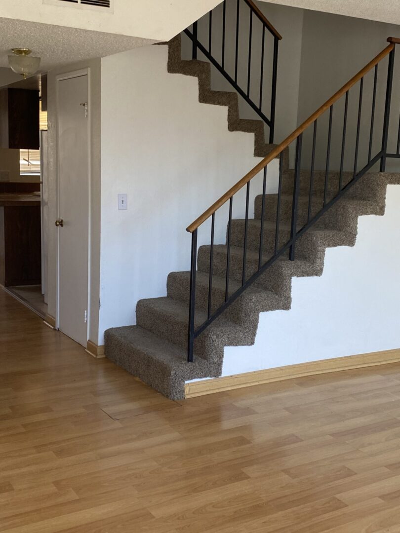 Carpeted staircase with black railing over hardwood floor