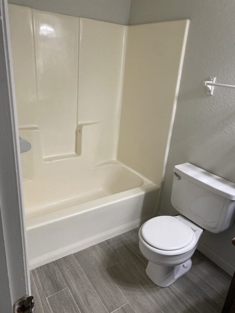 Bathtub and toilet in small bathroom